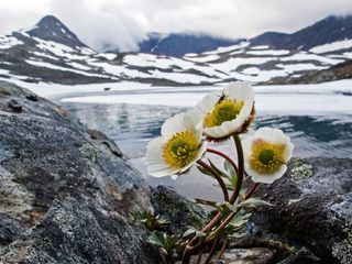 Lappland - Reich der schlafenden Giganten