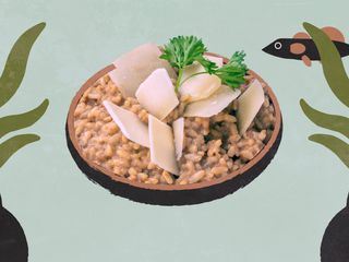 Kuechen der Welt Kuechen der Welt