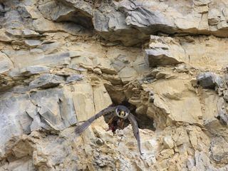 Versteckte Paradiese