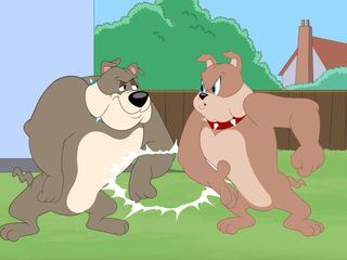 Die Tom und Jerry Show Die Tom und Jerry Show