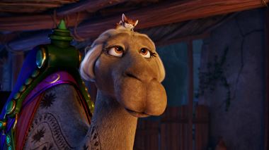 Bo und der Weihnachtsstern