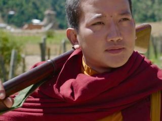 Was will der Lama mit dem Gewehr?