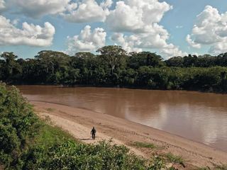 Die letzten Giganten: Riesenfische