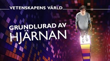 Vetenskapens vaerld: Grundlurad av hjaernan