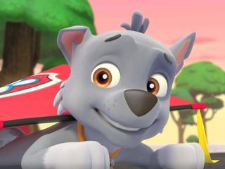Paw Patrol: Helfer auf vier Pfoten