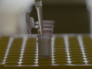 DNA-Spuren in die Geschichte