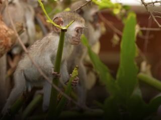 Team Wildlife Suedafrika