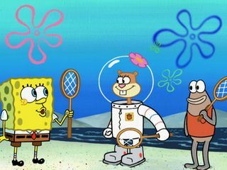 SpongeBob Schwammkopf