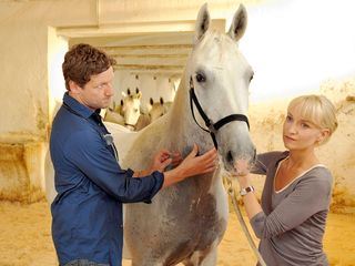 Das Glueck dieser Erde