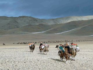 Mongolei, immer auf Achse