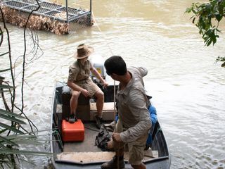 Die Irwins - Crocodile Hunter Family Die Irwins - Crocodile Hunter Family