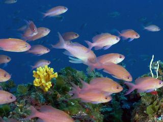 Geheimnisvolles Mittelmeer