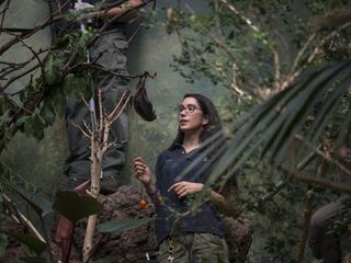 Bronx Zoo - Tierpark der Superlative