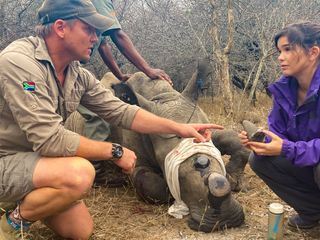 Anna und die wilden Tiere