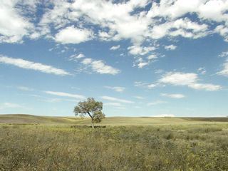 8000 Meilen bis Alaska