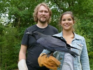 Anna und die wilden Tiere