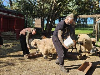 Harte Hunde - Die Urlaubsvertretung