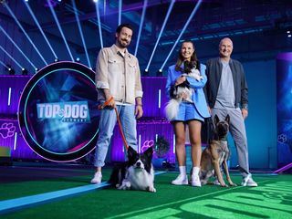 Top Dog Germany - Der beste Hund Deutschlands