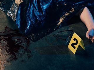 Bloodline Detectives - Die DNA der Taeter