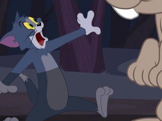 Die Tom und Jerry Show
