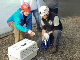 Die Katzenretter - Einsatz in der Baumkrone