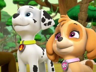 PAW Patrol - Helfer auf vier Pfoten