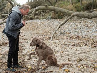 Nord bei Nordwest: Pechmarie