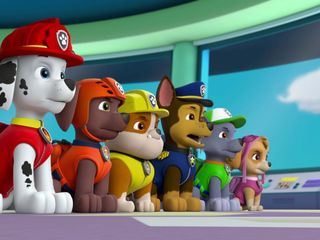 PAW Patrol - Helfer auf vier Pfoten