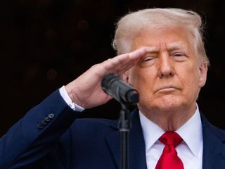 True Stories: Die Donald Trump Show