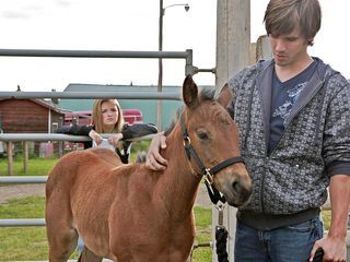 Heartland - Paradies fuer Pferde