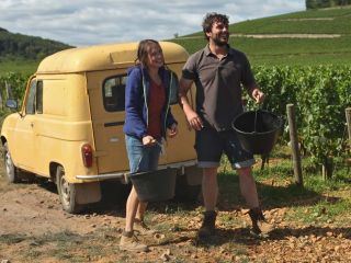 Der Wein und der Wind