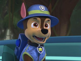 Paw Patrol: Helfer auf vier Pfoten