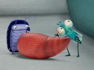 Bienvenue chez les mouches