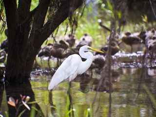 Traumziele Suedostasiens