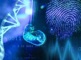 Forensik 3.0