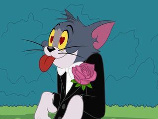 Die Tom und Jerry Show