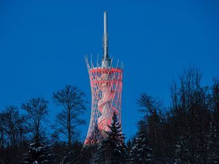 Im Bann des Hexenbesens