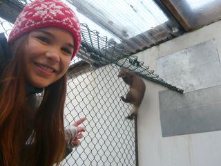 Anna und die wilden Tiere