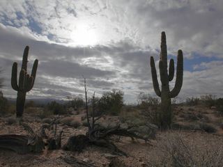 Amerikas Wilder Westen