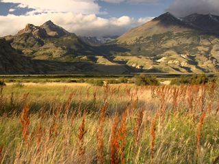 Zwischen Gletschern und Fjorden - Mit dem Schiff durch Patagonien