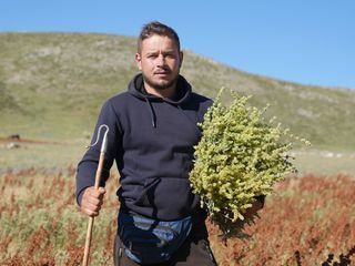 Albanien: Die Stimmen der Schaefer