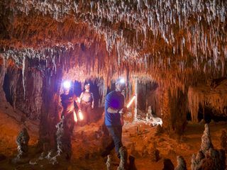 Expedition am Limit mit Steve Backshall