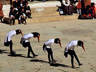 Himmelsvoegel - Die Kraniche von Bhutan