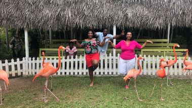 Caribbean Life – Traumhaus gesucht