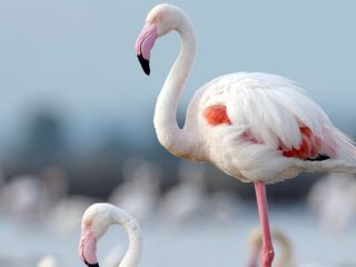 Wilder Mittelmeerraum Wilder Mittelmeerraum