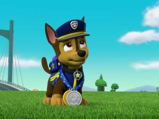 PAW Patrol - Helfer auf vier Pfoten