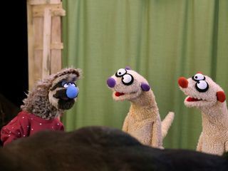 Jan & Henry - Die Fragenforscher