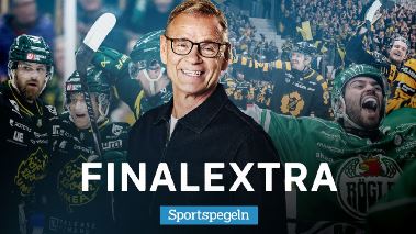 Sportspegeln