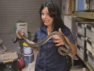 Die Schlangenfaengerin - Gefahr Down Under Die Schlangenfaengerin - Gefahr Down Under