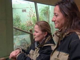 Frau Doktor und die wilden Tiere